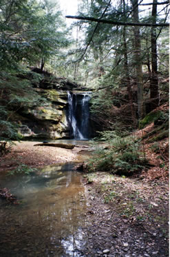 Rock Falls at Camp Akita