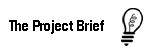 project brief